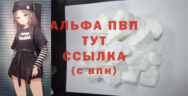 ПСИЛОЦИБИНОВЫЕ ГРИБЫ Гусев
