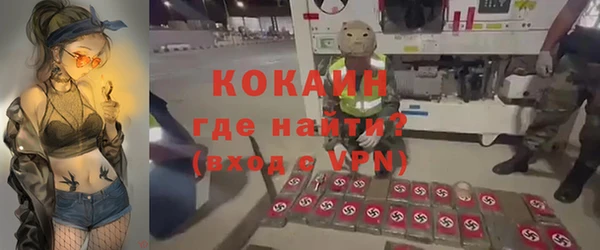 ПСИЛОЦИБИНОВЫЕ ГРИБЫ Гусев