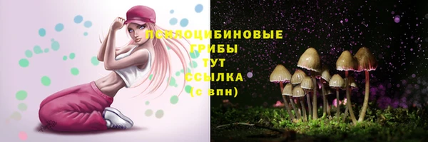 прущий лед Тихвин