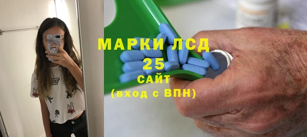ПСИЛОЦИБИНОВЫЕ ГРИБЫ Гусев