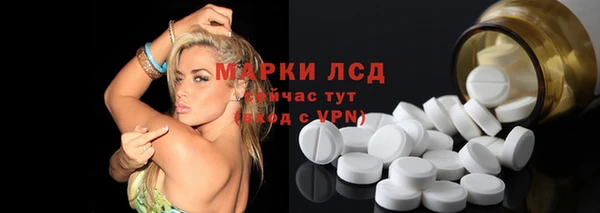 ПСИЛОЦИБИНОВЫЕ ГРИБЫ Гусев