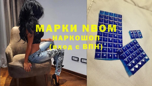 ПСИЛОЦИБИНОВЫЕ ГРИБЫ Гусев