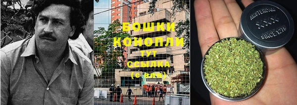 ПСИЛОЦИБИНОВЫЕ ГРИБЫ Гусев