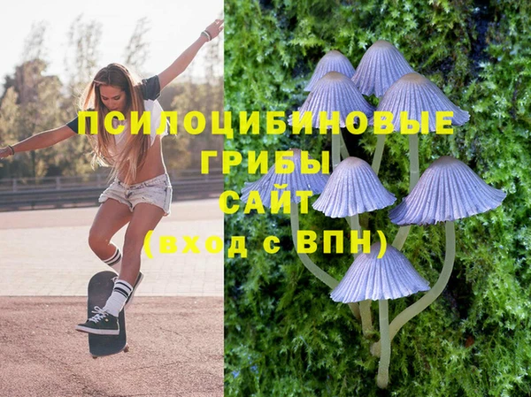 марки lsd Тобольск