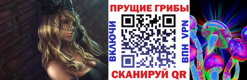 дарнет шоп mega рабочий сайт Псилоцибиновые грибы Psilocybe Михайлов
